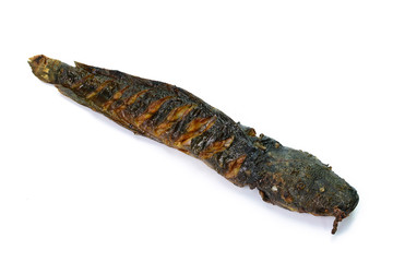 Grilled catfish isolated on white background
