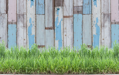 green grass with Old wood texture background.