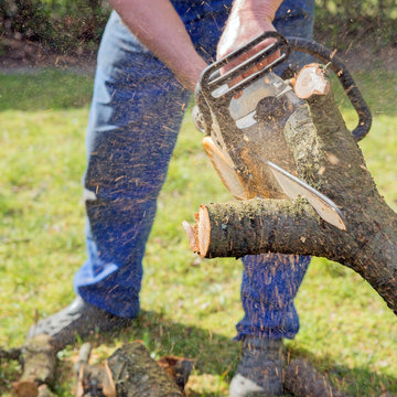 Man with chainsaw cutting the tree in the garden