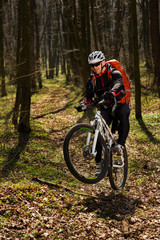 Fototapeta na wymiar Mountain biker riding on bike in springforest landscape. 