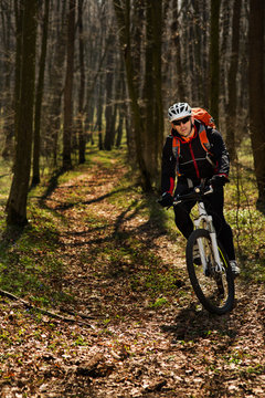 Mountain biker riding on bike in springforest landscape. 