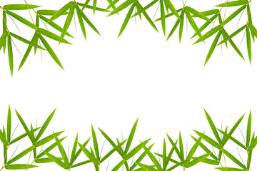bamboo leaves frame  isolated on white background