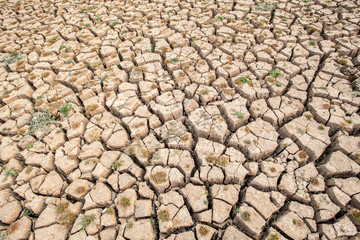 Cracked dry land without water.Abstract background.
