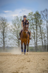 Woman Practicing on Hunter Jumper Horse in Ring