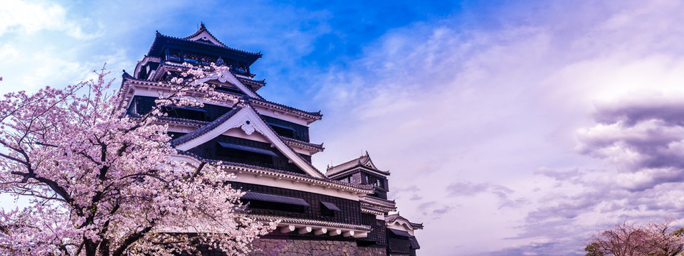 熊本城と桜
