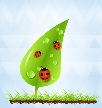 Green leaf on grass and soil with ladybugs and dew colorful background. Ecology concept. Vector Illustration. EPS 10.