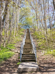 Stairs in Wilderness Park