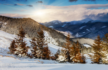 Fototapeta premium winter