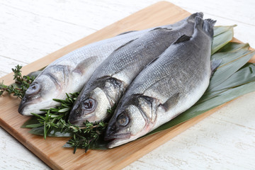Seabass