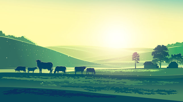 Summer landscape, with cows feeling morning, a day.