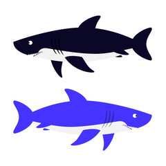 Shark vector illustration. Isolated aggressive sea carnivore