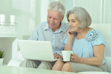 happy senior couple with laptop