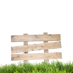 Wood sign with grass on white background.