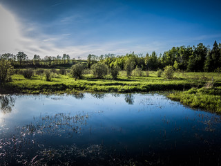 Fototapeta na wymiar Sun Reflecting in Small Pond