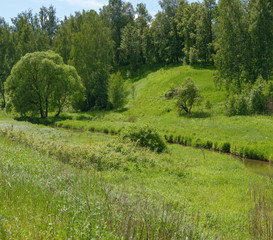 Bright green landscape of small river valley in Khotkovo, Russia