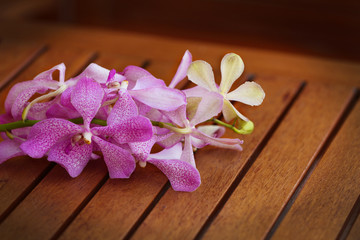 Fototapeta na wymiar Tropical flower on wooden surface.