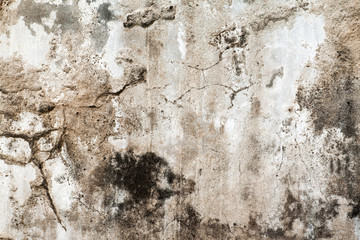 Concrete wall with moldy