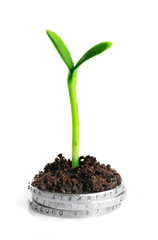 Coins in soil with young plant isolated on white