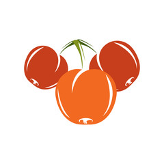 Vegetarian organic food simple illustration, vector ripe sweet apricots