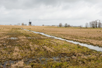 Boggy nature area with a mill in the background