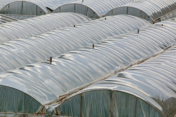 Exterior greenhouses covered with plastic, Turkey