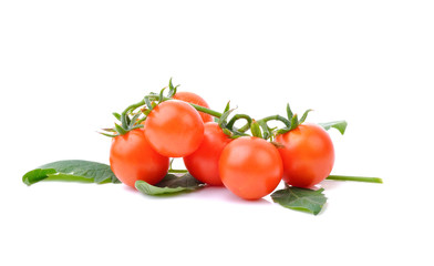 Fresh tomato on white background