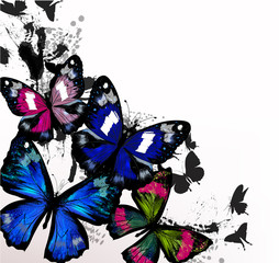 Vector illustration with detailed butterflies in vintage style