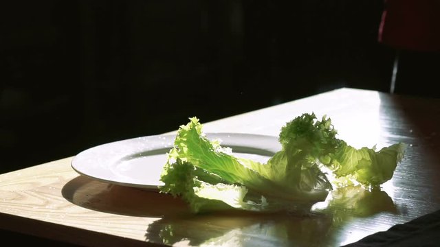 Lettuce salad falling and splashing with water drops on black background. Slowly