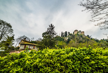 fortress above the hedge