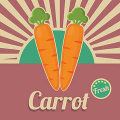 Carrot Poster with Retro Style. Isolated  Vector. Illustration