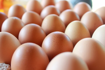 composition of chicken eggs that are in storage and ready to be distributed