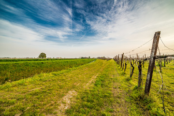 Obraz premium irrigation canal through the fields
