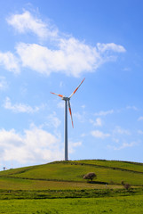 Fototapeta premium Wind turbines in the Sicily countryside