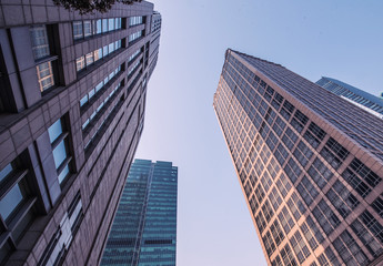 Obraz premium modern office skyscraper -Shanghai,China