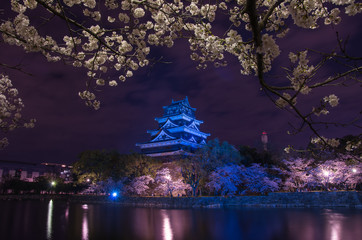 広島城ライトアップ