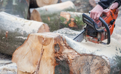 man cutting trees using an electrical chainsaw and professional tools