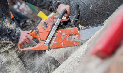 man cutting trees using an electrical chainsaw and professional tools