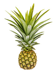 Pineapple isolated on white