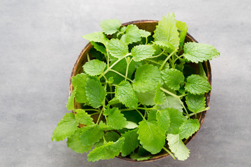 Fresh raw mint leaves on gray background.