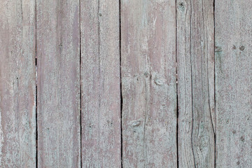 Fototapeta premium wooden texture