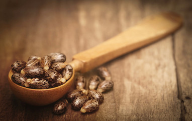 Castor beans