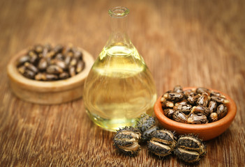 Castor beans and oil