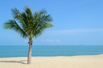 Obraz na płótnie Canvas beautiful beach with coconut tree in Koh Samui, Thailand