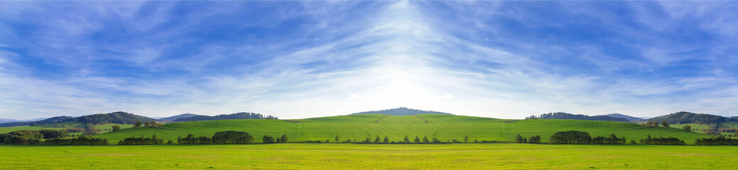 Spring beautiful landscape
