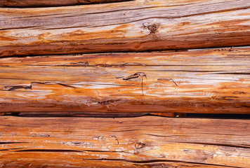 Naklejka na ściany i meble a wall of old logs orange