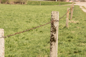Stacheldraht auf der Wiese
