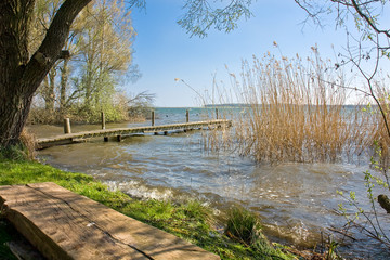 Seeufer an der Müritz bei Röbel, Mecklenburger Seenplatte