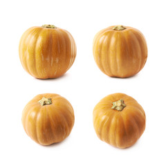 Single ripe orange pumpking isolated