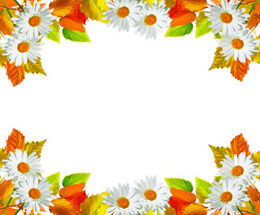 autumn leaves isolated on white background.