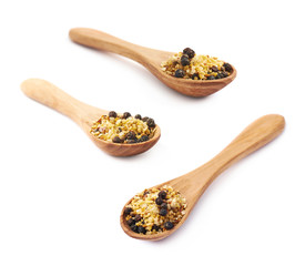 Spoon of garlic and pepper seasoning
